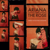 You Were Never My Boyfriend (Great Good Fine Ok Remix) (Single)