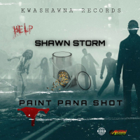 Paint Pana Shot (Single)