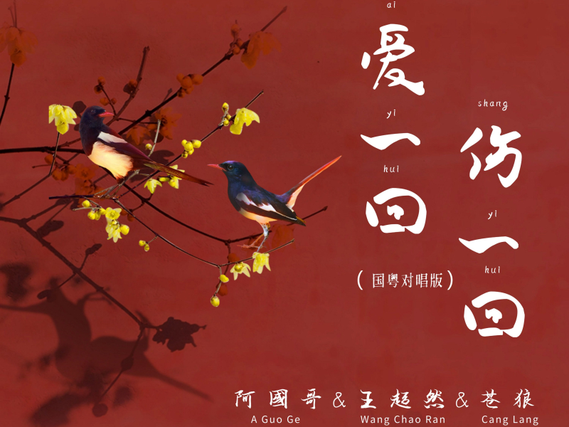 爱一回伤一回 (国粤对唱版) (Single)