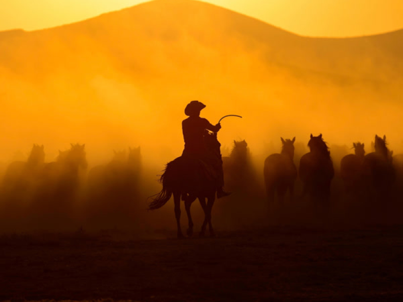 Twisted Pairs In A Fabric Game (Single)