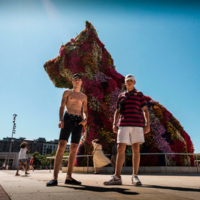 Cenizas Vuelan (Single)