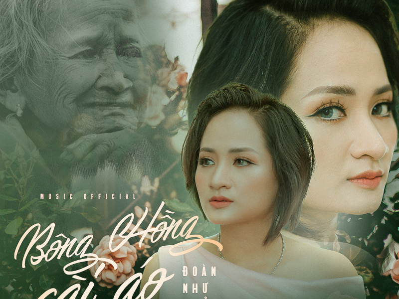 Bông Hồng Cài Áo (Single)