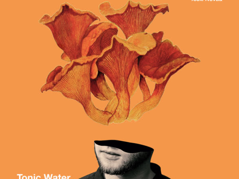 Tonic Water (dazy Remix) (Single)