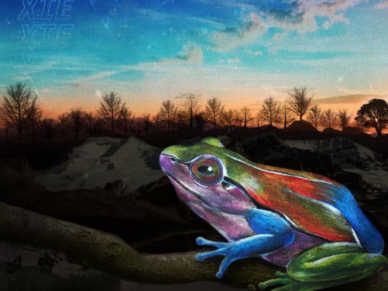 Six friends like tree frogs (EP)