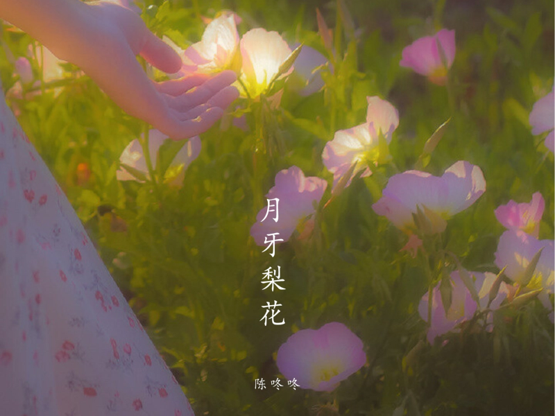 月牙梨花 (Single)