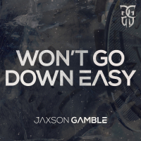 Won't Go Down Easy (Single)