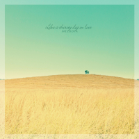 Like A Thirsty Dog In Love (Single)