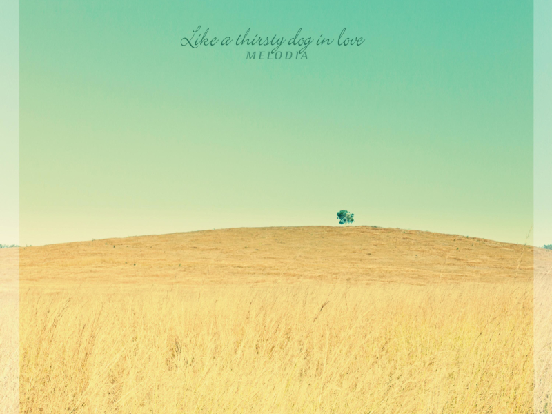 Like A Thirsty Dog In Love (Single)