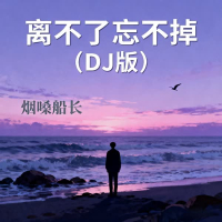 离不了忘不掉 (DJ版)