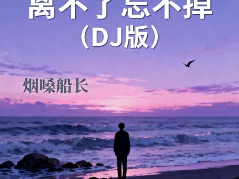 离不了忘不掉 (DJ版)