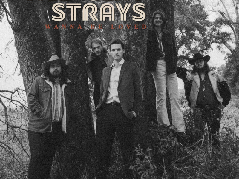 Wanna Be Loved (Single)