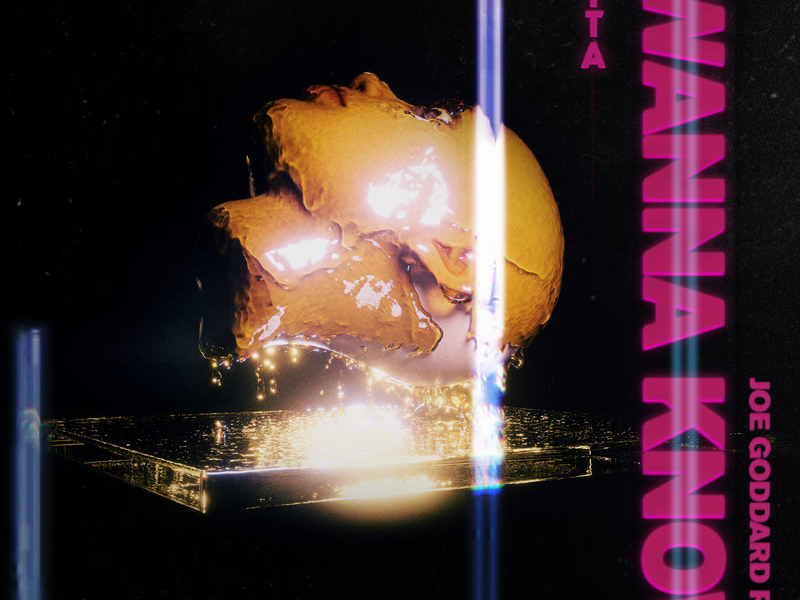 I Wanna Know (Joe Goddard Remix) (Single)