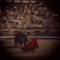 MATADOR (Single)