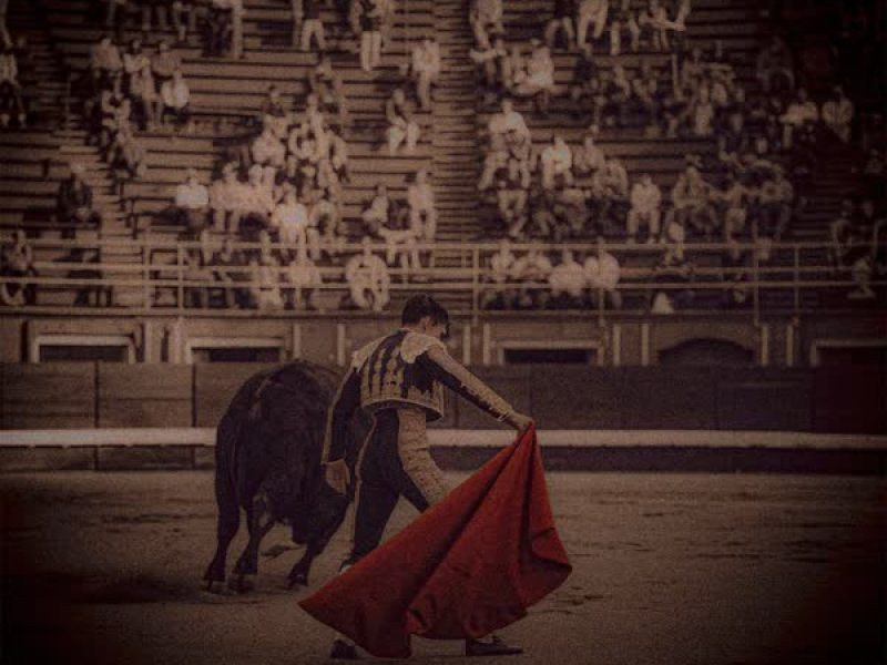 MATADOR (Single)