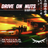 Drive on nuts (Single)