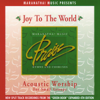 Acoustic Worship: Joy To The World