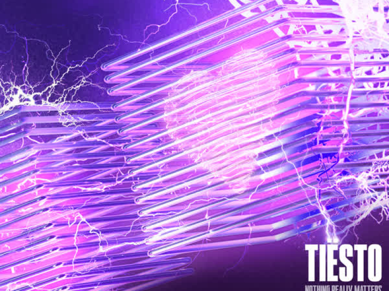 Nothing Really Matters (MV) (Single)