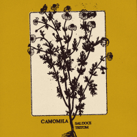 Camomila (Single)