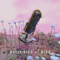 worst kind of kind (Single)
