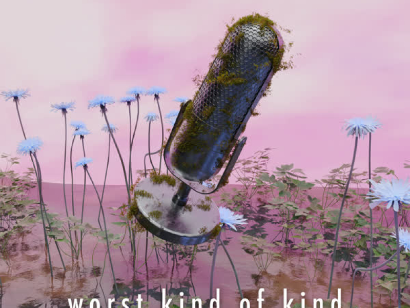 worst kind of kind (Single)