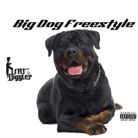 Big Dog Freestyle (Single)