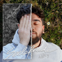 Seelefriede (Single)