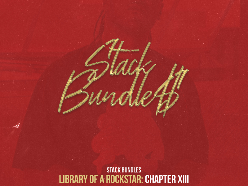 Library of a Rockstar: Chapter 13 - Back to the Basics