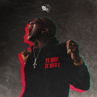 Ce que je veux (Single)