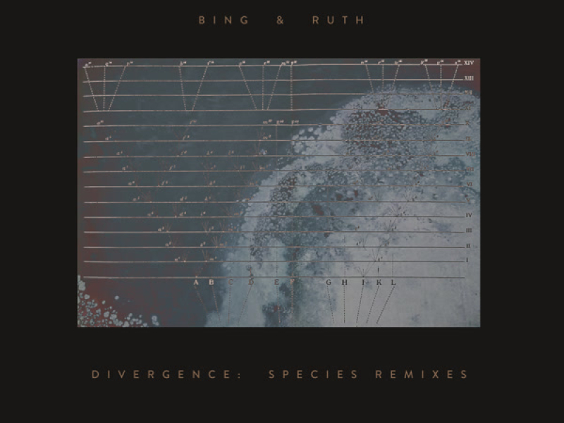 Badwater Psalm (Nailah Hunter Remix) (Single)