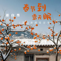 春节到 雪无眠 (没钱也回家过年) (Single)