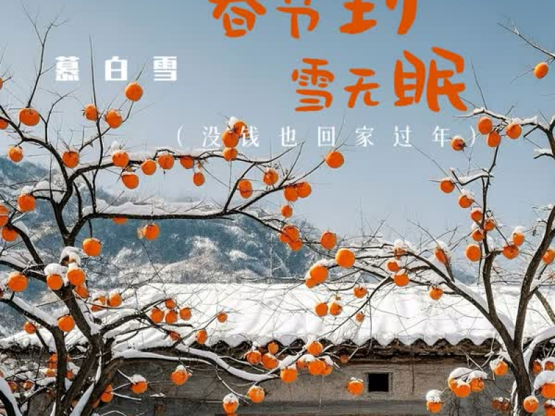 春节到 雪无眠 (没钱也回家过年) (Single)