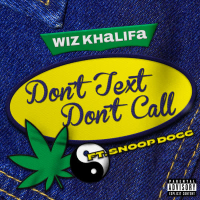 Don't Text Don't Call (Single)