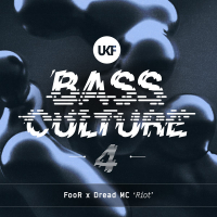 Riot (Bass Culture 4) (Single)