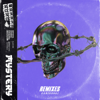 Mystery (CanekDubz Remix) (Single)