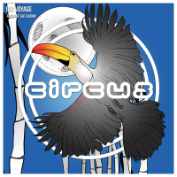 Flight Of The Toucan (Single)