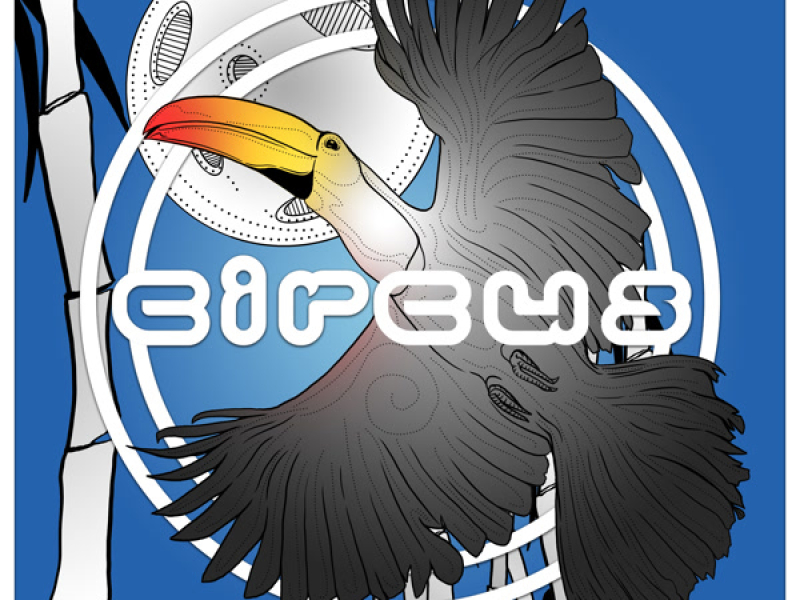 Flight Of The Toucan (Single)