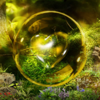 Anh không muốn (Single)