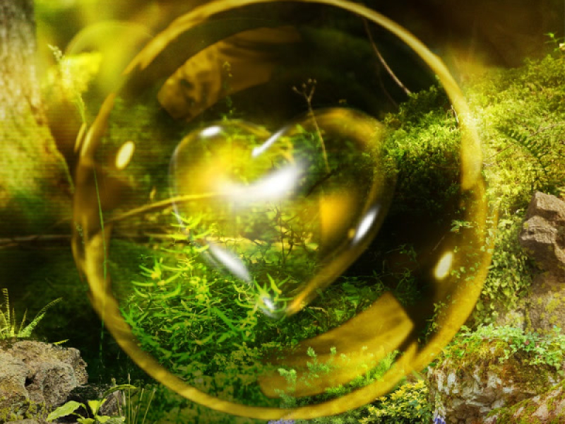 Anh không muốn (Single)