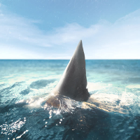 Zamanım Yok (Single)