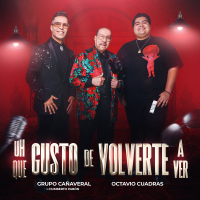 Oh Que Gusto De Volverte A Ver (Single)