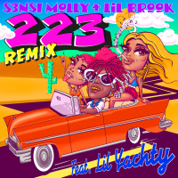 223 Remix (Single)