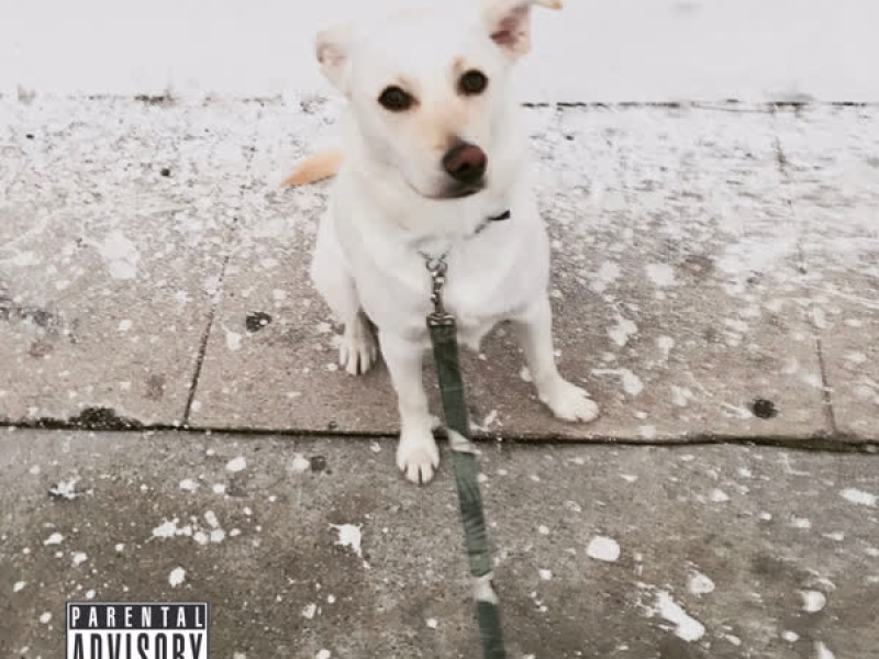 She's in My Head (Single)