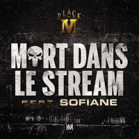 Mort Dans Le Stream (Single)