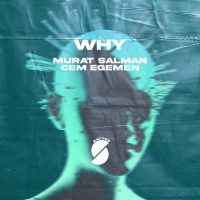 Why (Single)