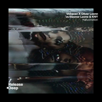 Hallucination (Radio Edit) (Single)