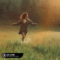 Like A Storm (Single)