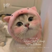 Hiện Giờ Đang Yêu Thầm (Speed Up) (Single)