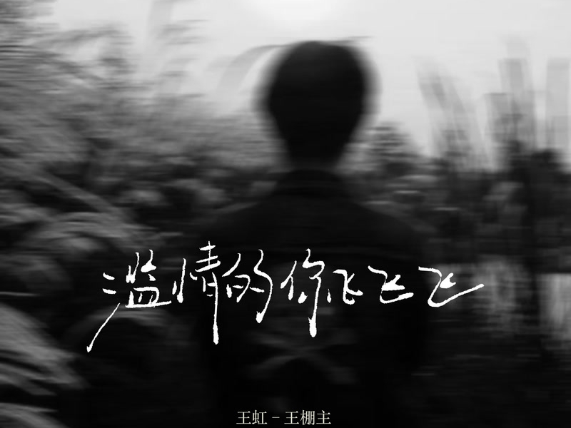 滥情的你飞飞飞 (DJ京仔版) (Single)