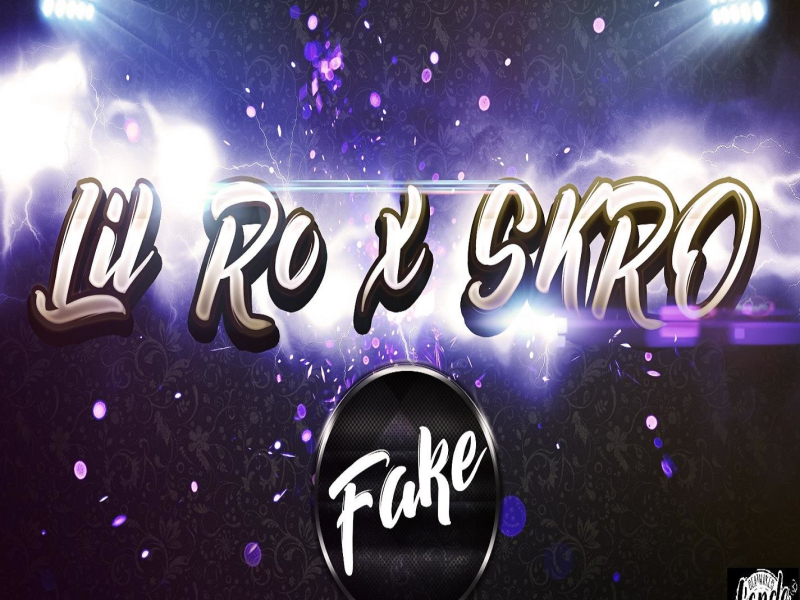 Fake (feat. Skro) (Single)