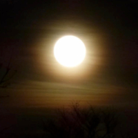 Ode to Ukraine (Single)